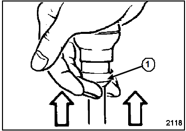 Particularités